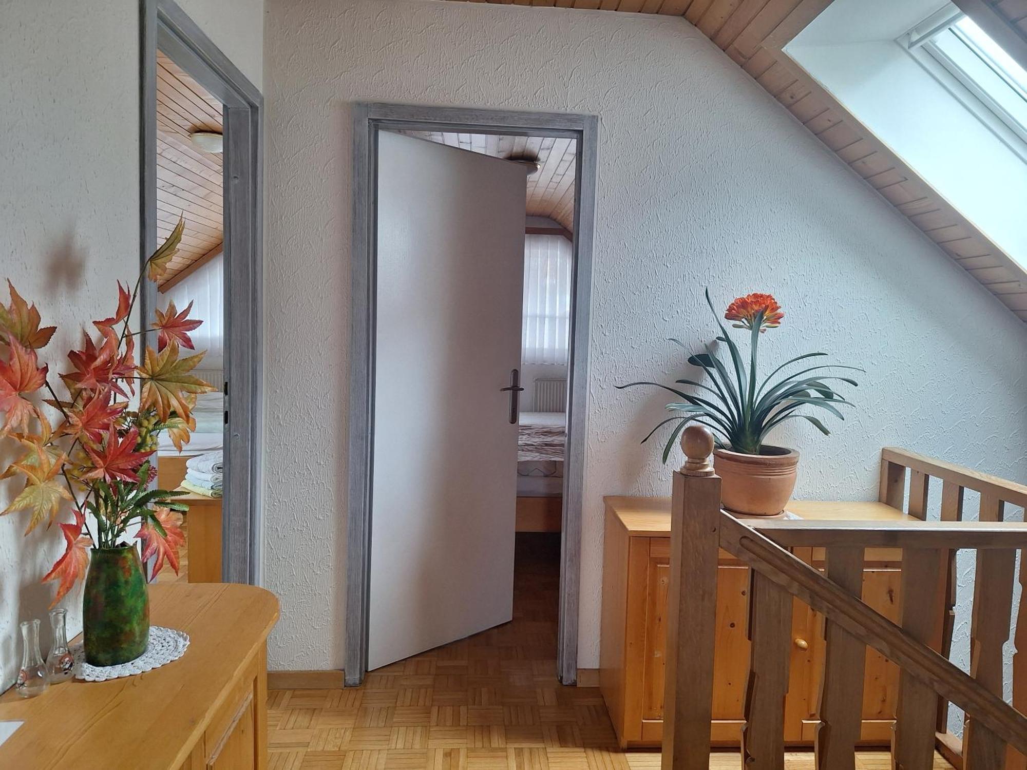 Apartmaji Marinka Hodnik Бохинь Экстерьер фото