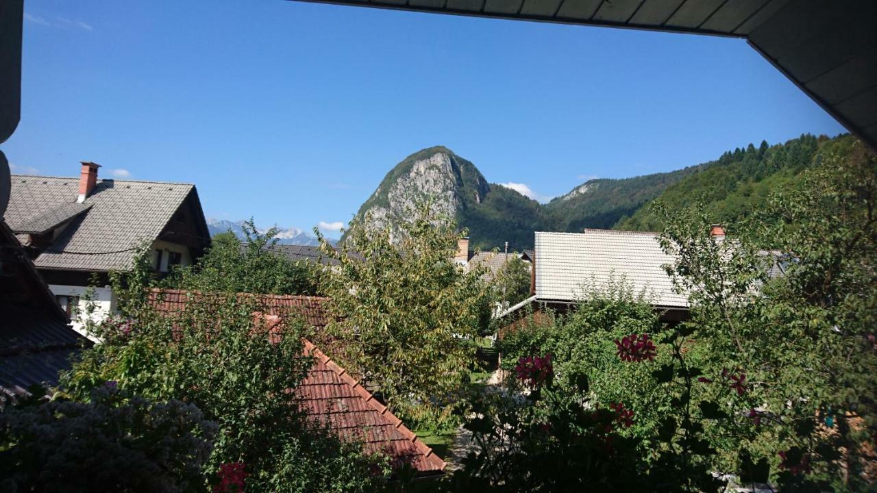 Apartmaji Marinka Hodnik Бохинь Экстерьер фото